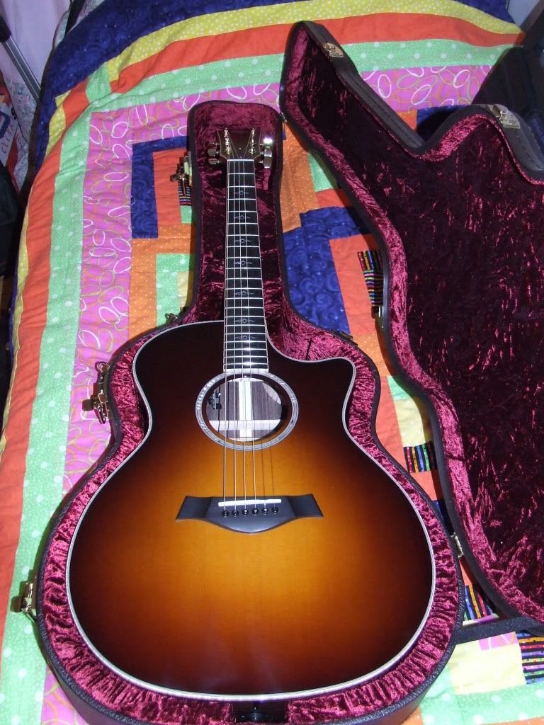 how to date my taylor guitar